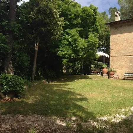 La Rondine *